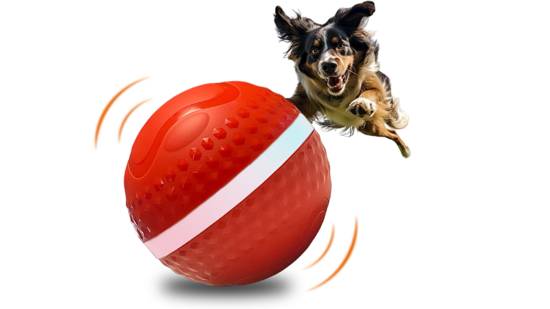 The Toy That’s Turning Lazy Pets Into Play Machines